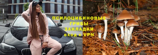 герыч Кукмор