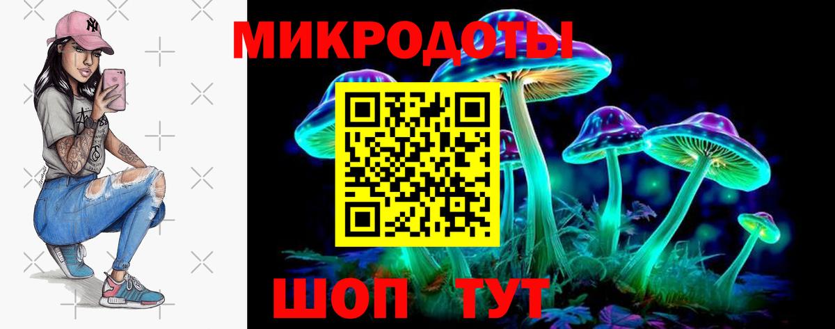 Псилоцибиновые грибы Cubensis  Вход с VPN  Надым 